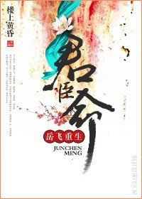 君臣命(岳飞重生)