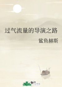 過氣流量的導演之路